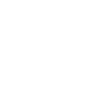 JoyFun